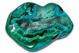 Vibrant Polished Malachite with Chrysocolla - DR Congo #336815-1